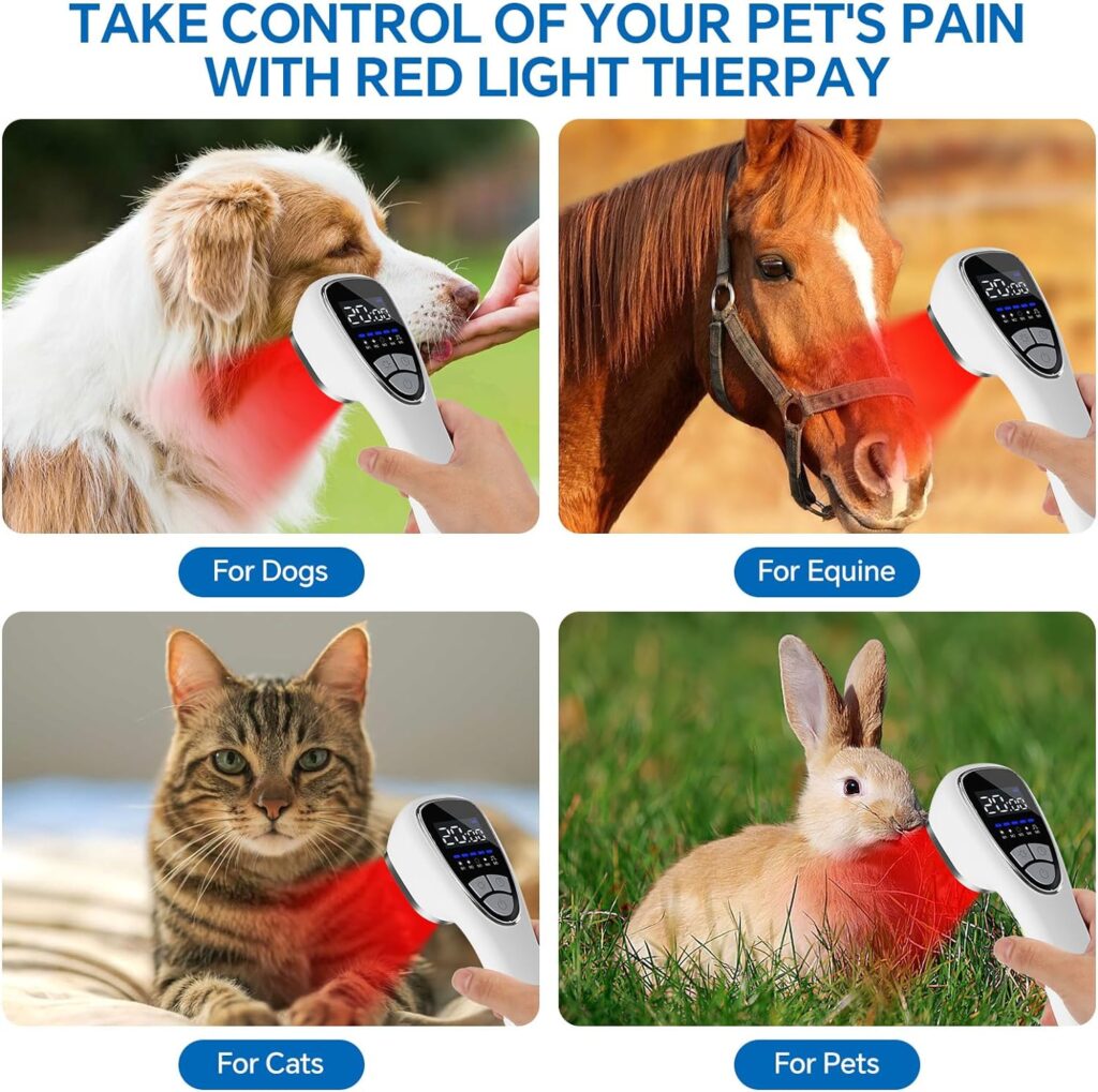 Red Light Threapy Device for Body PainReIief with Stand, 6x808nm+12x650nm Handheld Near Infrared Light Therapy with PW Pulsed Wave Model for Human and Pet Body Joint Back Knee Muscle